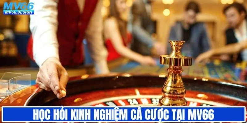 Học hỏi thêm kinh nghiệm khi cá cược tại MV66