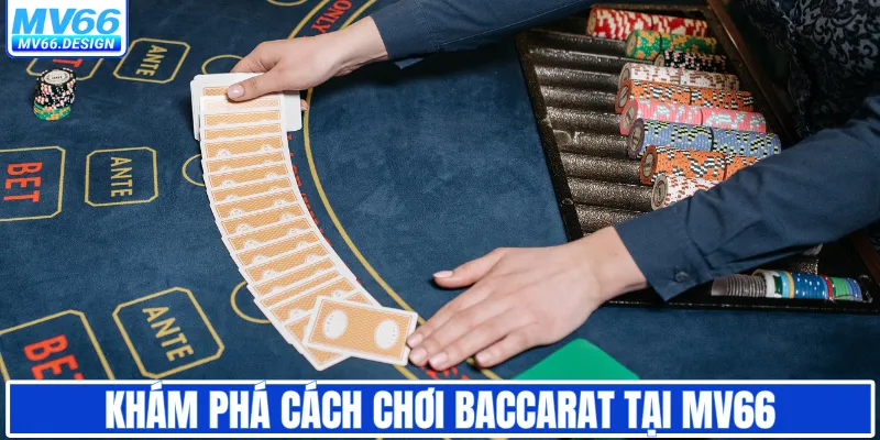Khám phá cách chơi Baccarat tại MV66