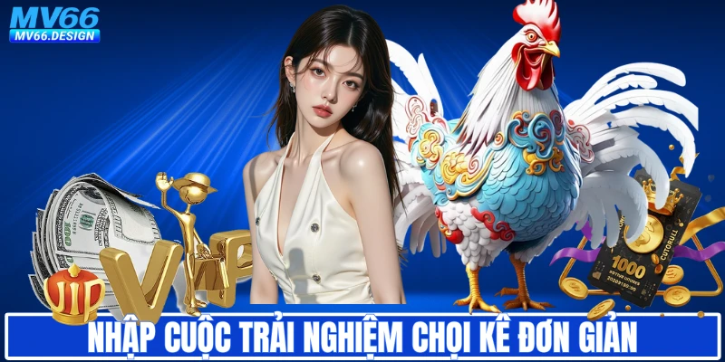 Nhập cuộc trải nghiệm chọi kê đơn giản