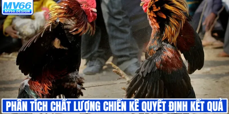 Phân tích chất lượng chiến kê quyết định kết quả
