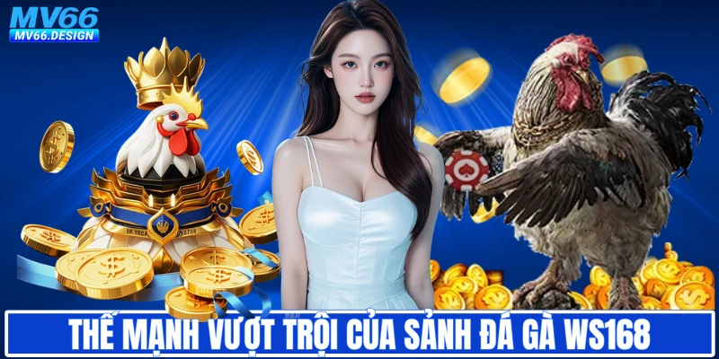 Thế mạnh vượt trội của sảnh đá gà WS168