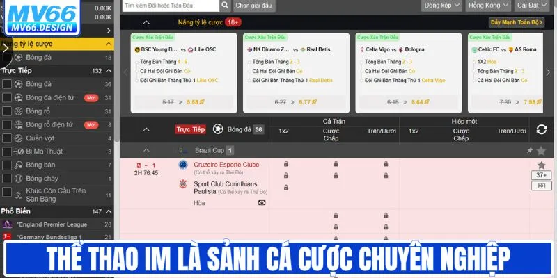 Thể thao IM là sảnh cá cược chuyên nghiệp