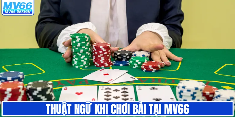Thuật ngữ khi chơi bài tại MV66