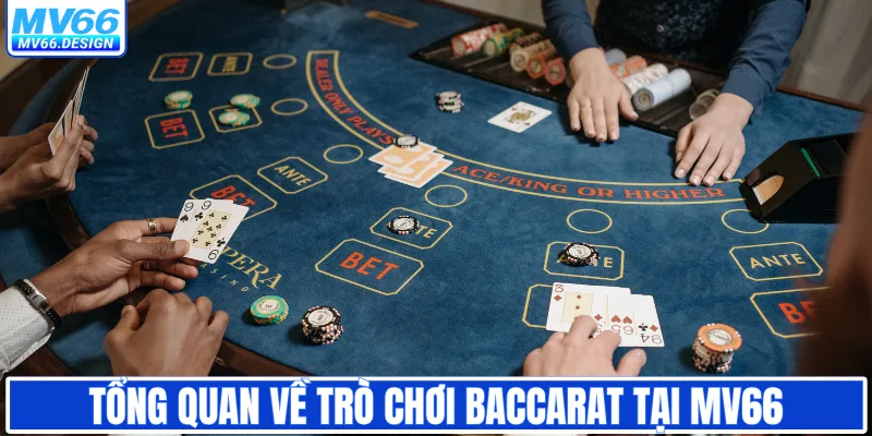 Tổng quan về trò chơi Baccarat tại MV66