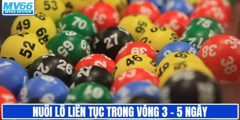 Xuống tiền nuôi lô liên tục trong thời gian từ 3 - 5 ngày